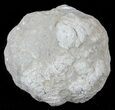 Keokuk Geode with Calcite Crystals - Missouri #62257-1